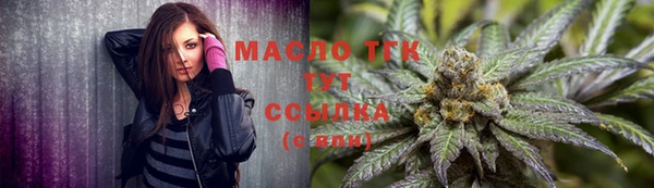 винт Абаза