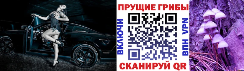 Псилоцибиновые грибы мицелий  хочу   Адыгейск 